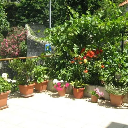 House Boninovo (adults Only) 3*